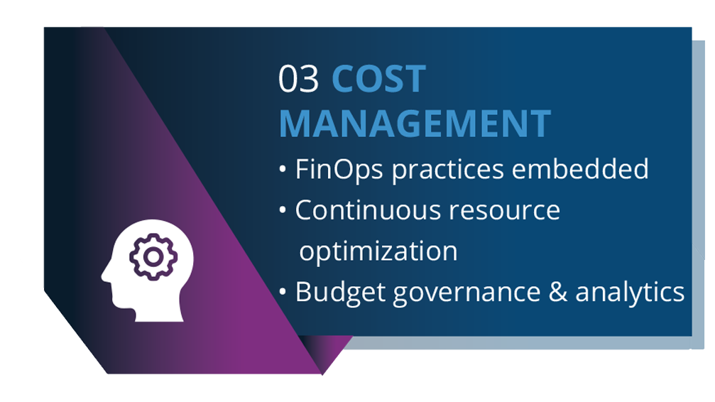 03 Cost Management , FinOps practices embedded, Continuous resource optimization, Budget governance & analytics