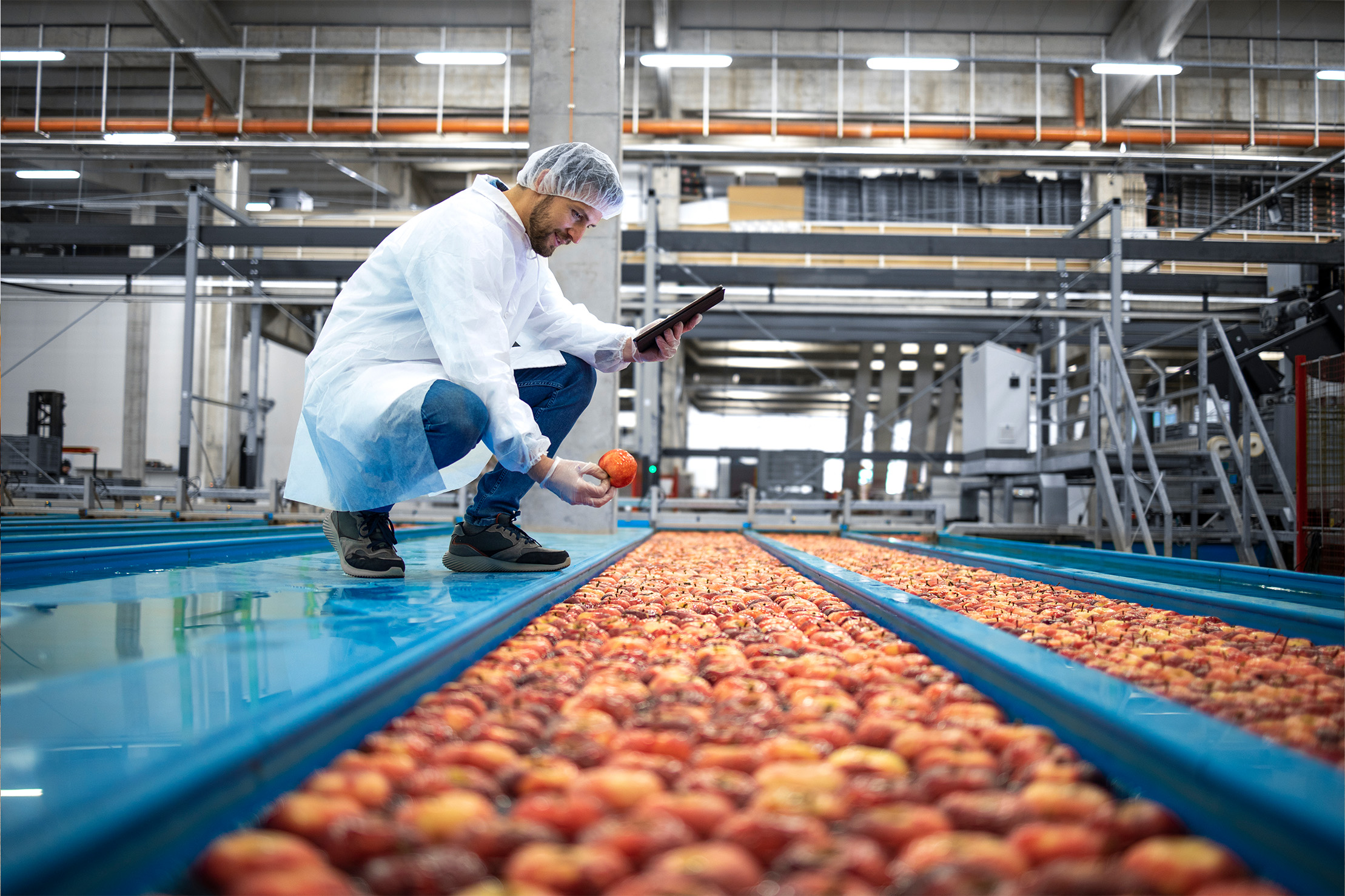 RCL Foods