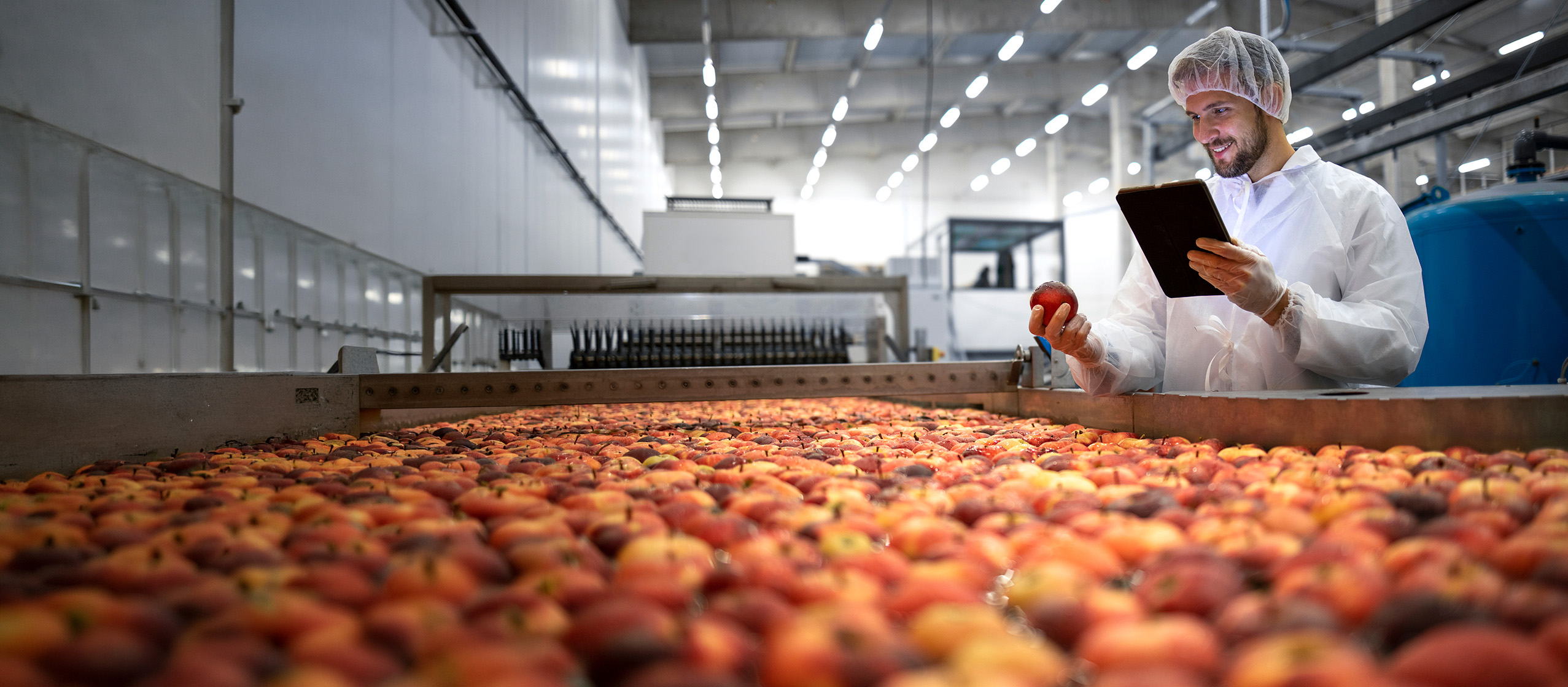 RCL Foods