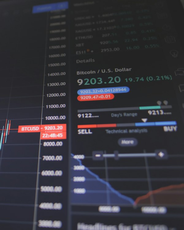 Financial forecast chart