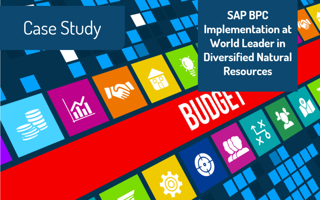 Decision Inc. improves budgeting capabilities for world leader in diversified natural resources